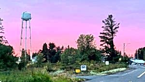 Blog Napavine