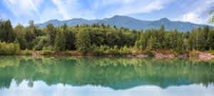 Why We Ask Pine Lake